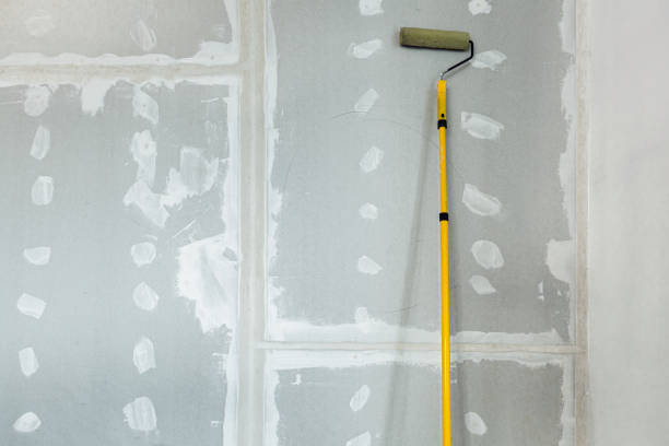 Professional Mold Removal in Wilburton, OK